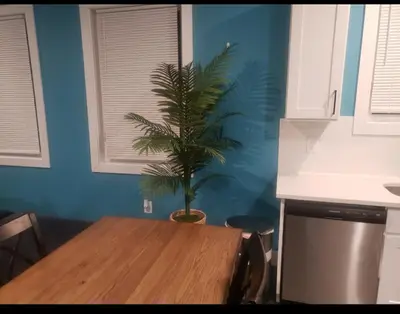 a dining room with a table and a palm tree at Comfy 3 bedroom house in Newark