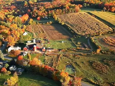 an aerial view of a farm with fall foliage at The Woodridge Retreat in Goshen