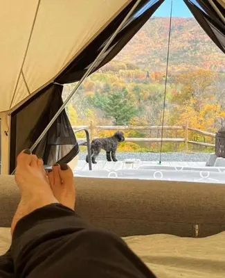a person sitting in a tent with a dog looking out the window at Piebald Mountain Pet Friendly Tents, Petersburg, New York