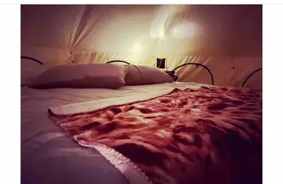 a close up of a large bed in a room at Piebald Mountain Pet Friendly Tents, Petersburg, New York