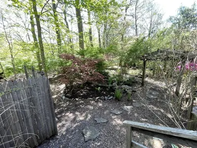 a garden with a wooden fence and some trees at Romantic Botanical Bell Tent for a Fantastic Glamping Experience in Southbury, Connecticut in Southbury
