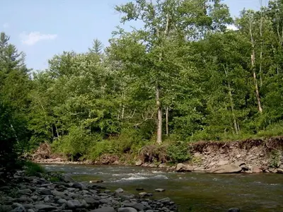a river with rocks and trees in the background at Lovely Cottage Getaway in the Mountains near Phoenicia, New York in Chichester