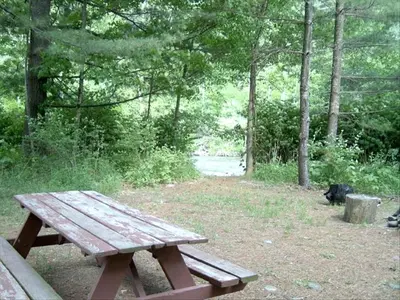 a wooden picnic table in a park with a black cat at Lovely Cottage Getaway in the Mountains near Phoenicia, New York in Chichester