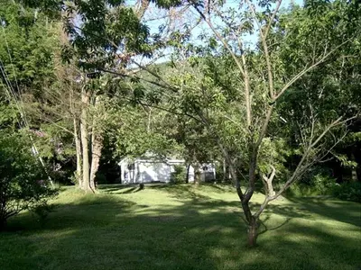 a yard with trees and a house in the background at Lovely Cottage Getaway in the Mountains near Phoenicia, New York in Chichester