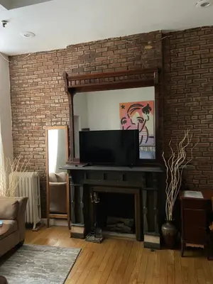 a living room with a fireplace with a flat screen tv at Great Looking Studio Apartment in New York
