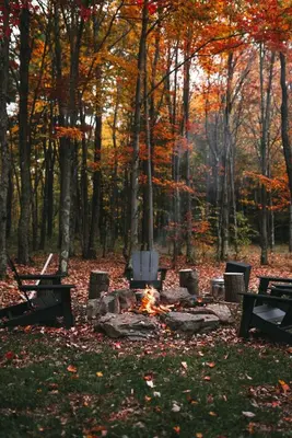 a group of chairs around a fire in a forest at The A-Frame at Harvest Moon Acres in Stamford