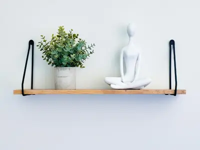 a shelf with a statue and a potted plant at Spacious 2-BR 1-Bath King suite! in Plainville