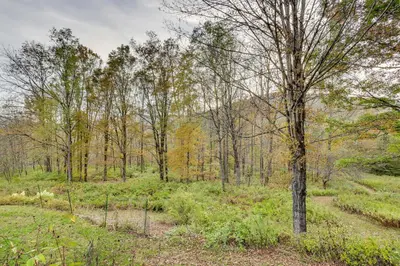 a tree in the middle of a forest at Less Than 6 Mi to Arlington Whimsical Stone Abode! in Sandgate