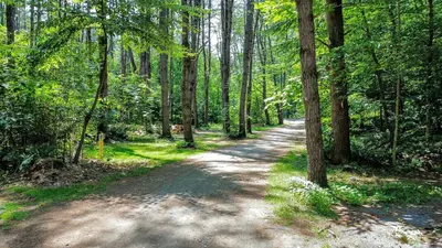 a dirt road in the middle of a forest at Large Safari Tent on the Hudson River, Perfect for a Family Glamping Getaway in Corinth