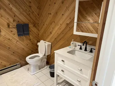 a bathroom with a toilet and a sink at Wilderness Getaway in East Jewett