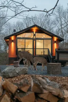 two deer walking in front of a house at Modern Retreat Poconos 3BR Fire Pit Skiing in East Stroudsburg