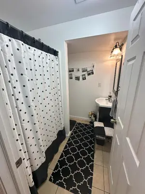 a bathroom with a shower curtain and a sink at Wallenpaupack Lake house in Greentown