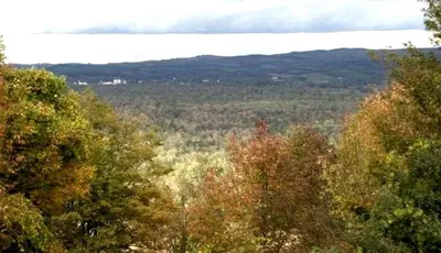 a view of a forest of trees in the foreground at Modern Countryside Yurt Rental in Waterville, Upstate New York in Waterville