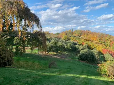 a green field with trees in the background at The Huron stunning water views and family home vibes in Milton in Milton