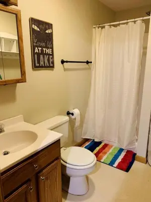 a bathroom with a toilet sink and a shower curtain at Lake Cabin with Hot-Tub and Deck in Pennsylvania in Lake Ariel