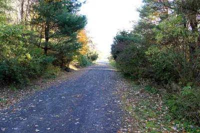a dirt road with trees on either side of it at Bellwood Cottage 8-14min to all Roxbury Wed Venues in Roxbury