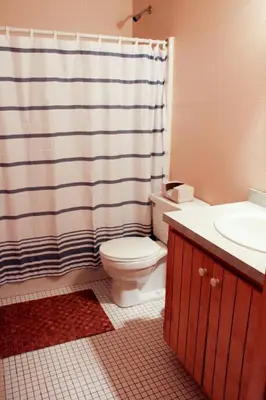 a bathroom with a toilet and a shower curtain at Bellwood Cottage 8-14min to all Roxbury Wed Venues in Roxbury
