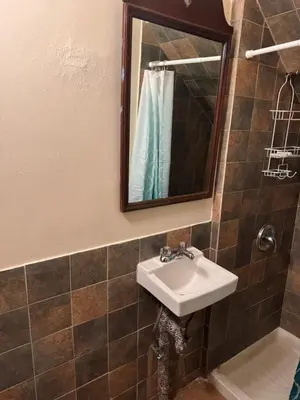 a bathroom with a sink and a mirror at The Parlor in New York