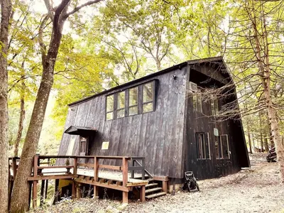 a black shed sitting in the middle of a forest at Peaceful Tree House Nestled Away in Hudson Valley, New York in Carmel Park Estates