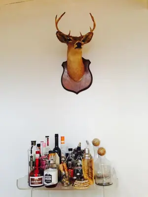 a deer head on a wall above a shelf with bottles at Peaceful Tree House Nestled Away in Hudson Valley, New York in Carmel Park Estates
