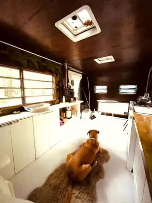 a dog sitting on a rug in a kitchen at Romantic Glamping Getaway in a Pet Friendly Caravan, Ideal to Explore Hudson Valley in New Forge