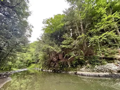 a river in the middle of a forest at Romantic Glamping Getaway in a Pet Friendly Caravan, Ideal to Explore Hudson Valley in New Forge