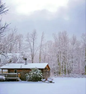 a log cabin with snow on it in the woods at Simple Cabin Camping for Families in the Catskills of Upstate New York in Big Indian