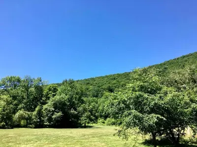a field with trees and a hill in the background at Rustic Cabin Rental for Groups near Woodstock, Upstate New York in Big Indian