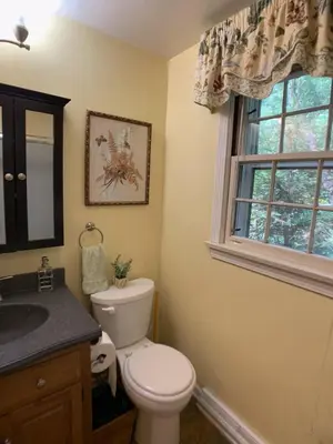 a bathroom with a toilet and a sink and a window at Peaceful and Pet-Friendly Cottage Rental on Picturesque Country Estate near Black Rock State Park, Connecticut in Watertown