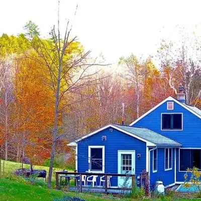Charming Cabin Getaway with a Wood-Burning Stove in Chesterfield