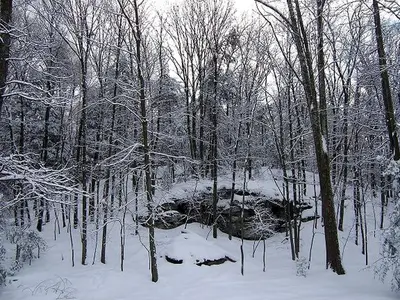 a snow covered forest with trees and a rock at Rustic Log Cabin in the Catskills, Upstate New York in Olivebridge