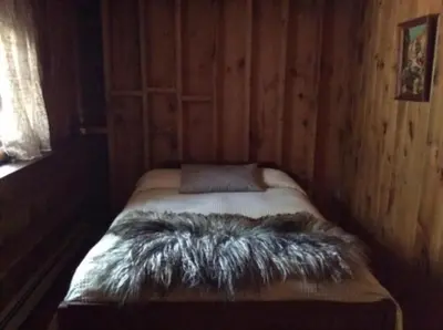 a small bed in a wooden room with a blanket on it at Rustic Cabin Retreat on the Ten Mile River in Narrowsburg, New York in Narrowsburg