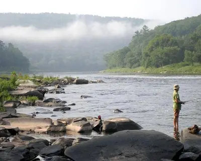 a man standing on some rocks in a river at Charming Cottage Rental with Antique Decor in Narrowsburg, New York in Narrowsburg