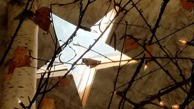 a window in a building with a tree branch at Romantic Glamping Dome in the Catskill Mountains near Woodstock, New York in Hensonville