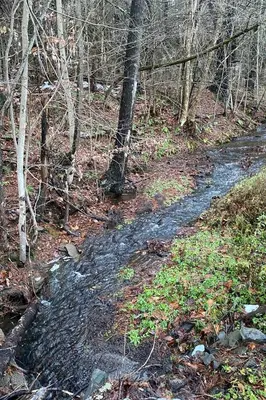 a path in a wooded area with a creek at Rustic Safari Tent on a Wonderful Farm Surrounded by Nature for an Amazing Glamping Experience in Otego, New York in Otego