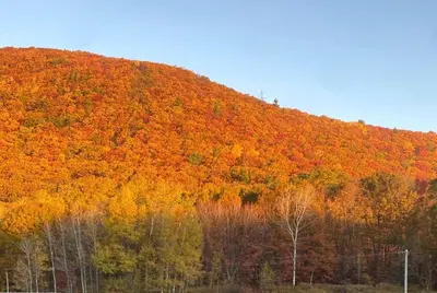 an autumn hillside with colorful trees on it at Rustic Safari Tent on a Wonderful Farm Surrounded by Nature for an Amazing Glamping Experience in Otego, New York in Otego