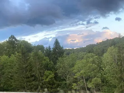 a view of a forest of trees under a cloudy sky at Rustic Safari Tent on a Wonderful Farm Surrounded by Nature for an Amazing Glamping Experience in Otego, New York in Otego
