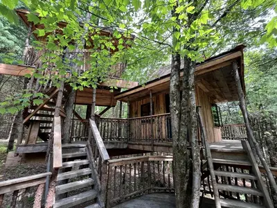 a tree house in the woods with stairs leading to it at Eco-Friendly, Abstract Treehouse Surrounded by Wildlife and Hiking Trails For a Special Getaway in Sparrow Bush, New York in Sparrow Bush