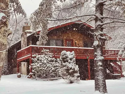 a house covered in snow next to a tree at Romantic Chalet Hot Tub Near Hunter Mountain in Tannersville