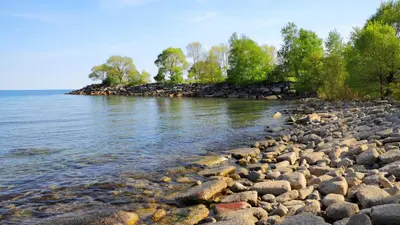 a rocky shore of the water with trees in the background at Lakeside Home in Brookfield