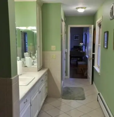 a green bathroom with a sink and a mirror at Unique Ski Rental in Berkshires Charlemont Near Hawley State Forest, Plainfield, Western Massachusetts in Plainfield