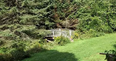 a bridge in the middle of a field with trees at Spacious Cabin Rental next to Balsam Mountain in Upstate New York in Big Indian