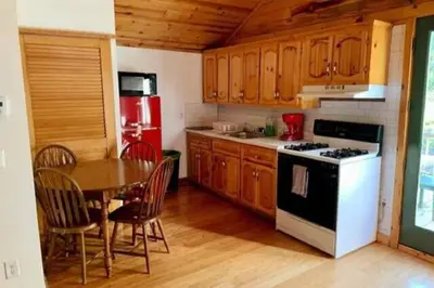 a kitchen with a table and a stove and a refrigerator at Spacious Cabin Rental next to Balsam Mountain in Upstate New York in Big Indian