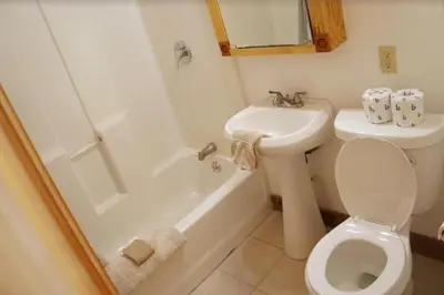 a bathroom with a toilet and a sink at Spacious Cabin Rental next to Balsam Mountain in Upstate New York in Big Indian