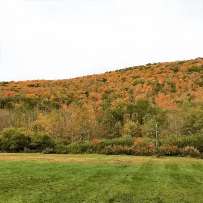 a grassy field with a hill in the background at Spacious Cabin Rental next to Balsam Mountain in Upstate New York in Big Indian