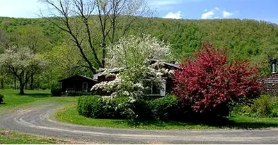 a house on a road with trees and bushes at Family-Friendly Cabin Accommodation with Large Yard near Woodstock in Big Indian