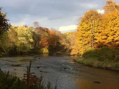 a river in the middle of a bunch of trees at Secluded Cabin with Gorgeous Views near Stockbridge in the Berkshires of Massachusetts in Stockbridge