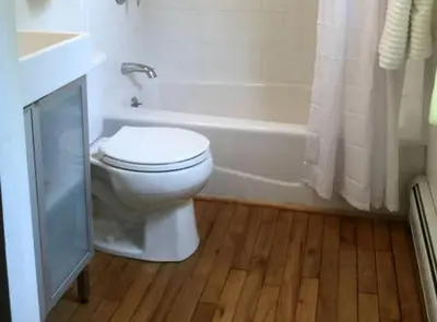 a bathroom with a white toilet and a bath tub at Secluded Cabin with Gorgeous Views near Stockbridge in the Berkshires of Massachusetts in Stockbridge