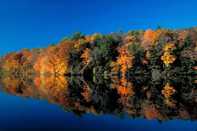 an image of a forest with autumn leaves reflecting in the water at Riverfront Cabin with Beautiful Views of Housatonic River in Great Barrington, Massachusetts in Housatonic