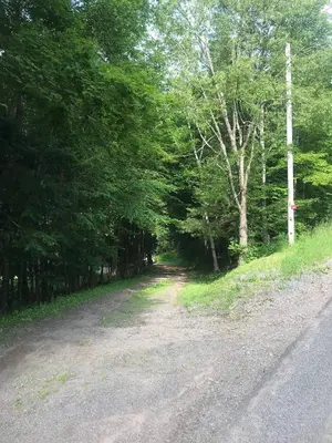 a dirt road with trees on both sides at Four Season Retreat in Heart of the Catskills in Fleischmanns